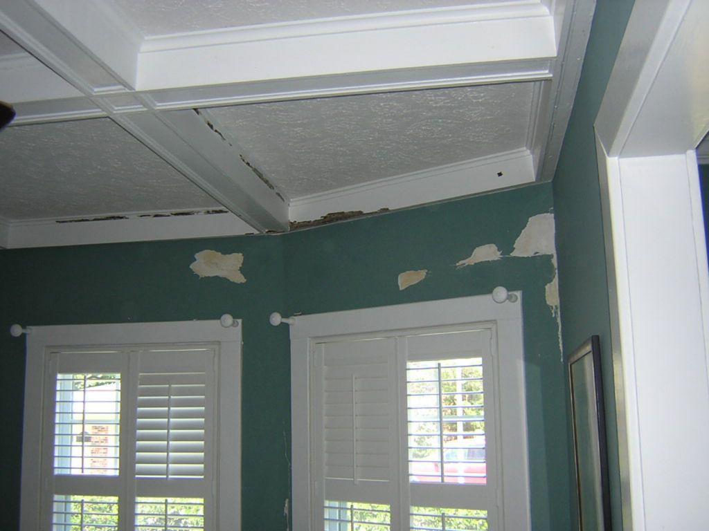 atl-bch-int-plaster-water-leak-repairs